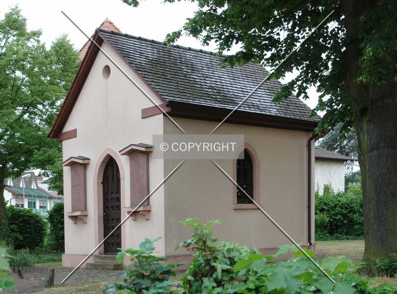 Photo 249-561-083