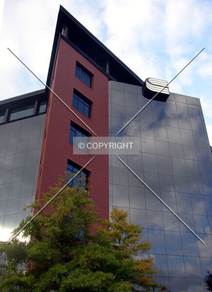 Synovus Center