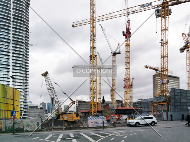 Photo 251-049-353