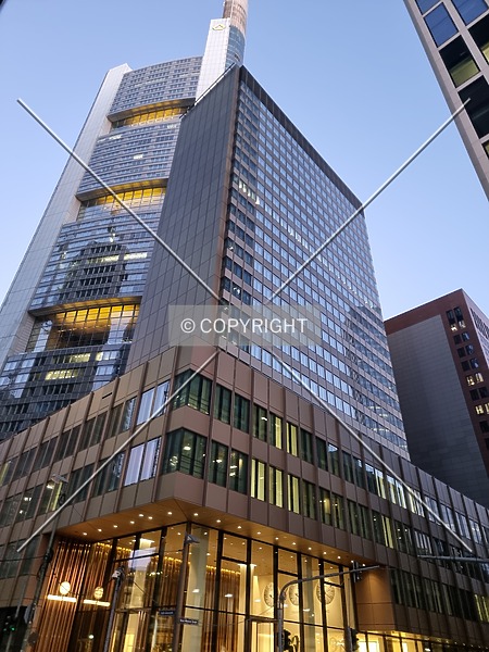 Photo 251-240-318