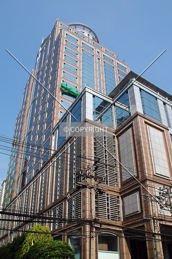 Looking up the southeast corner