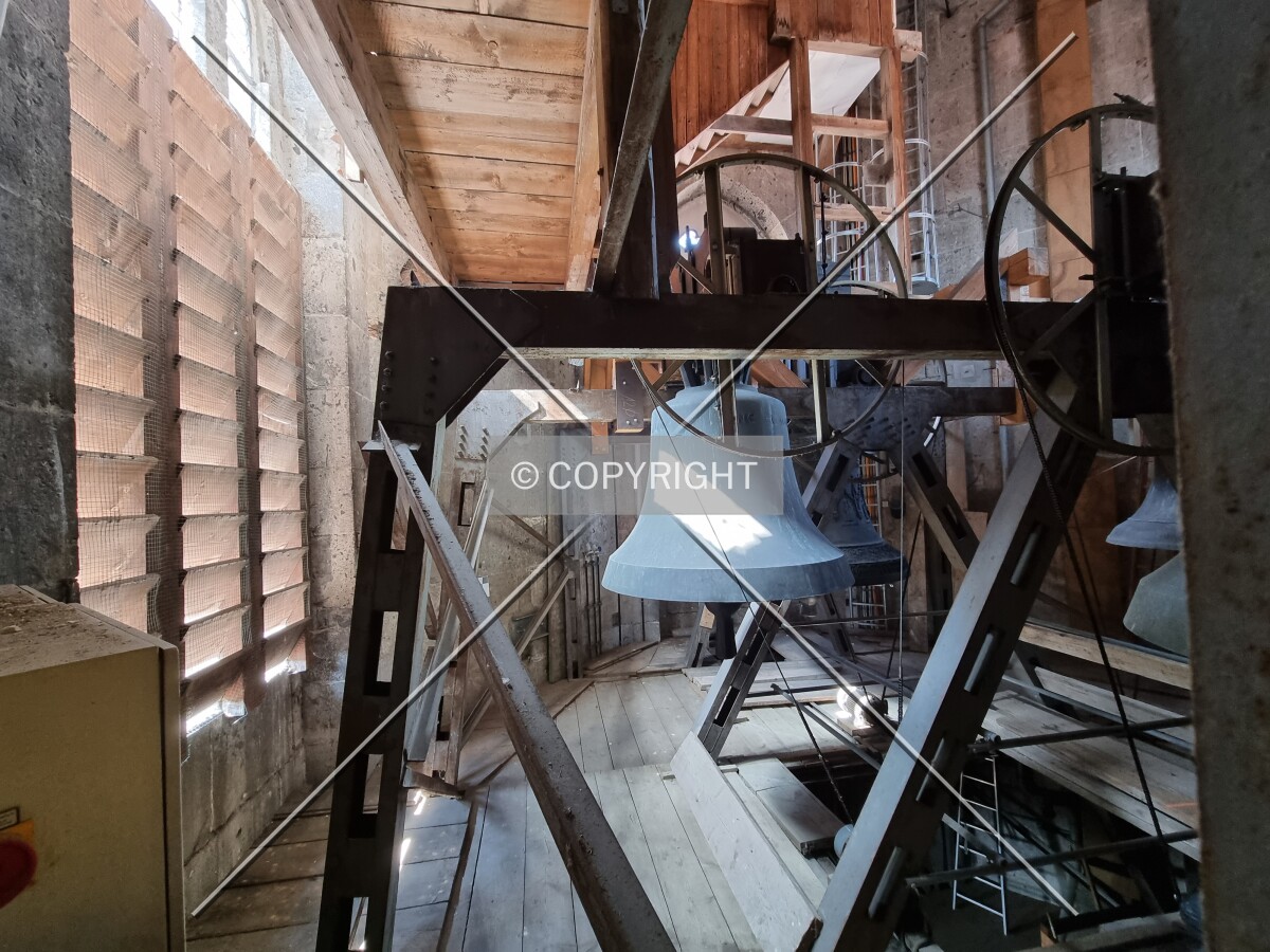 Photo 251-733-415