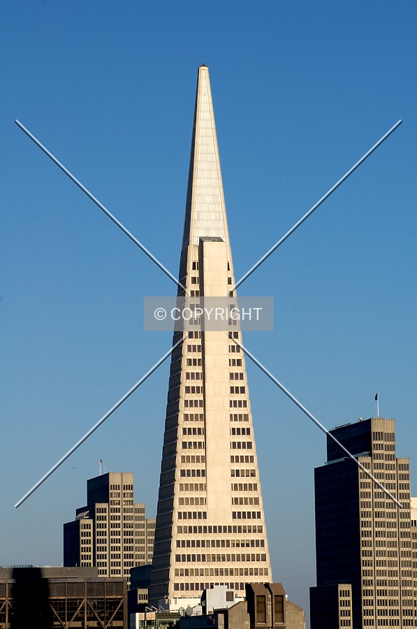 Looking south from Telegraph Hill