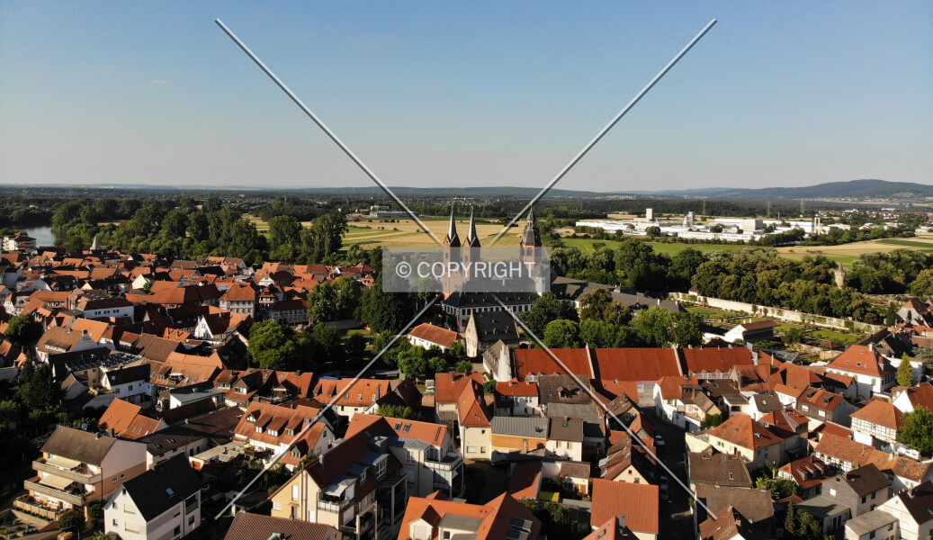 Photo 252-256-544