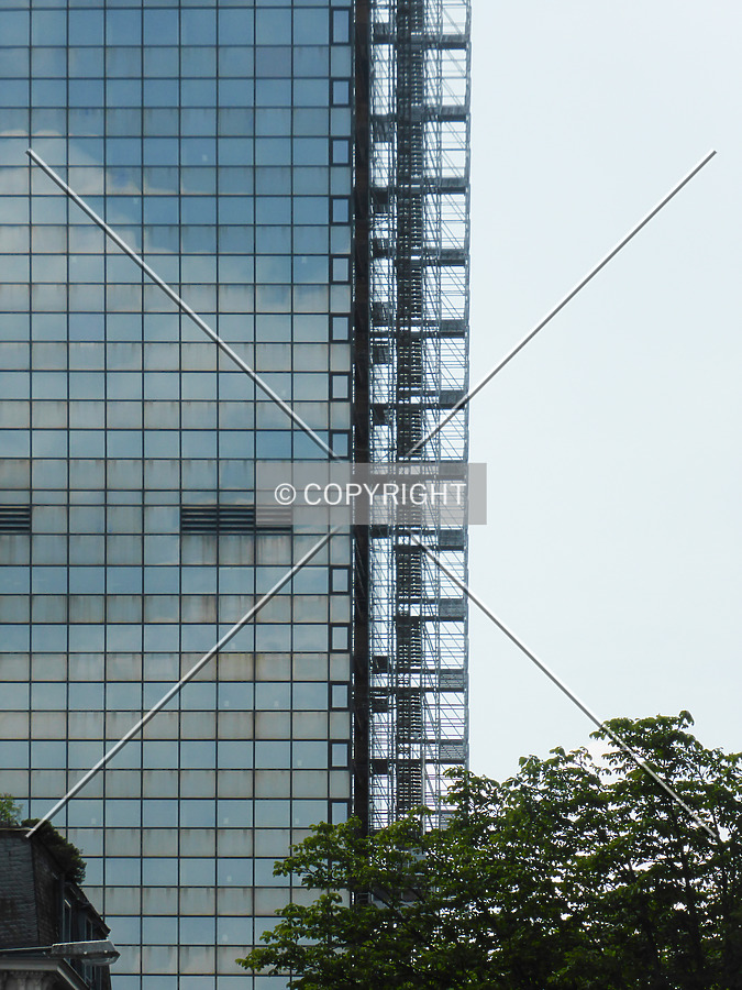 Photo 253-013-933