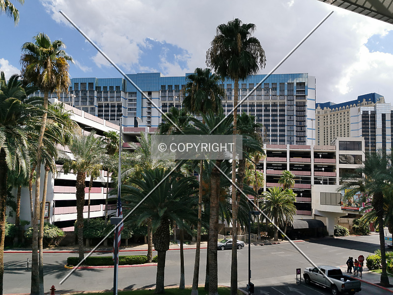 Photo 253-454-130