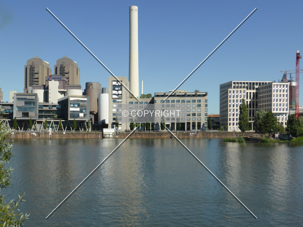 Photo 254-267-707