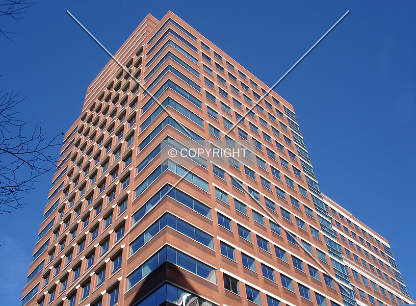 Photo 254-855-709