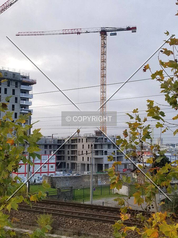 Photo 255-022-077