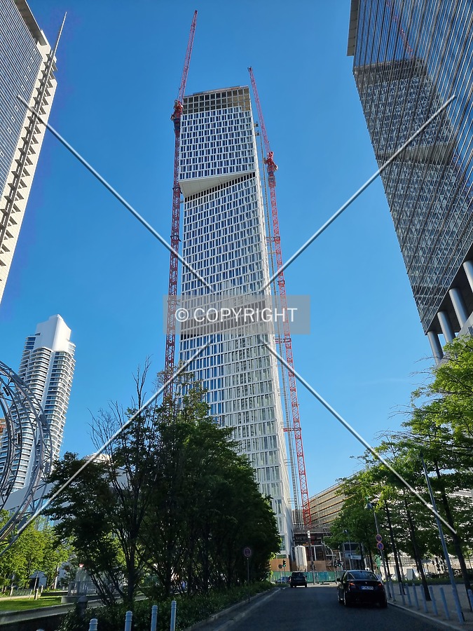 Photo 255-209-794
