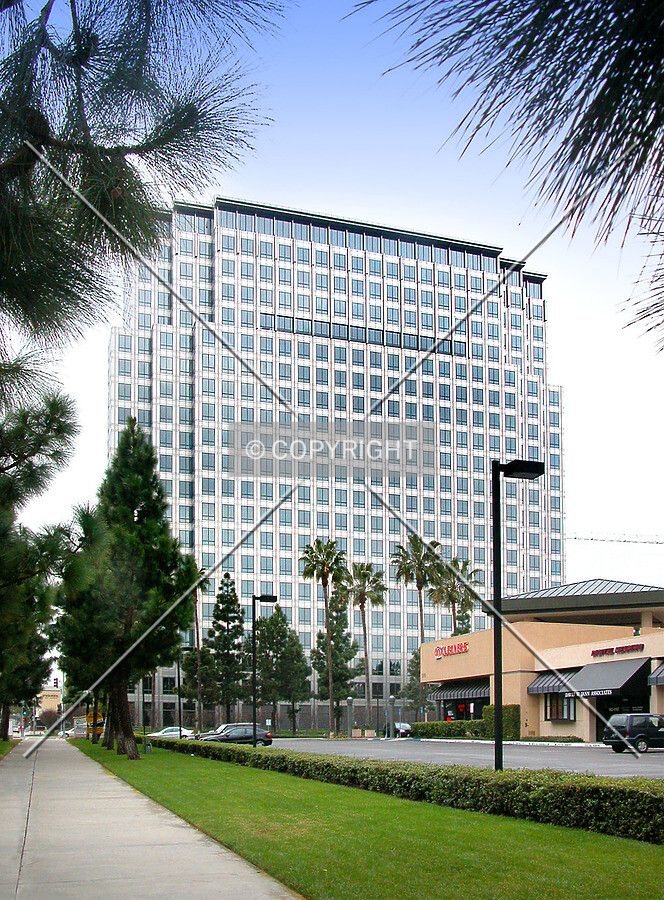 View from the east