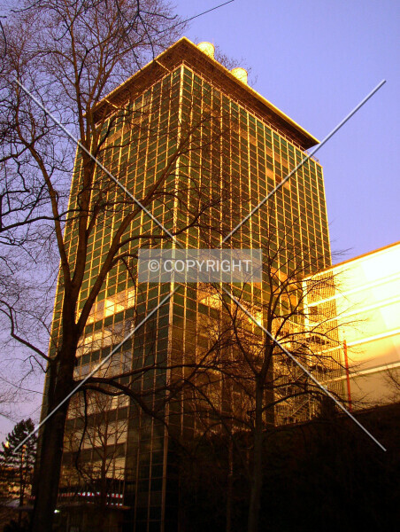 Photo 258-021-075
