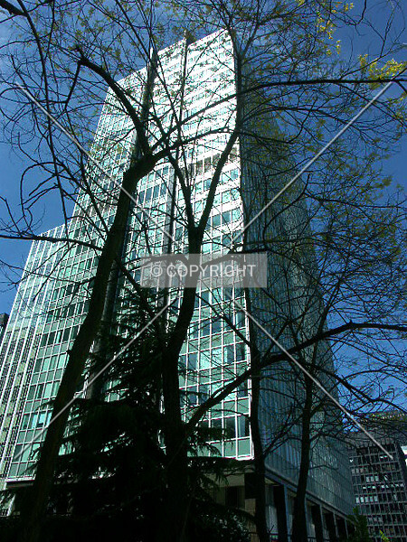 Photo 258-302-013