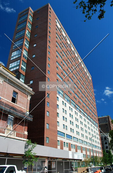 Photo 258-981-098