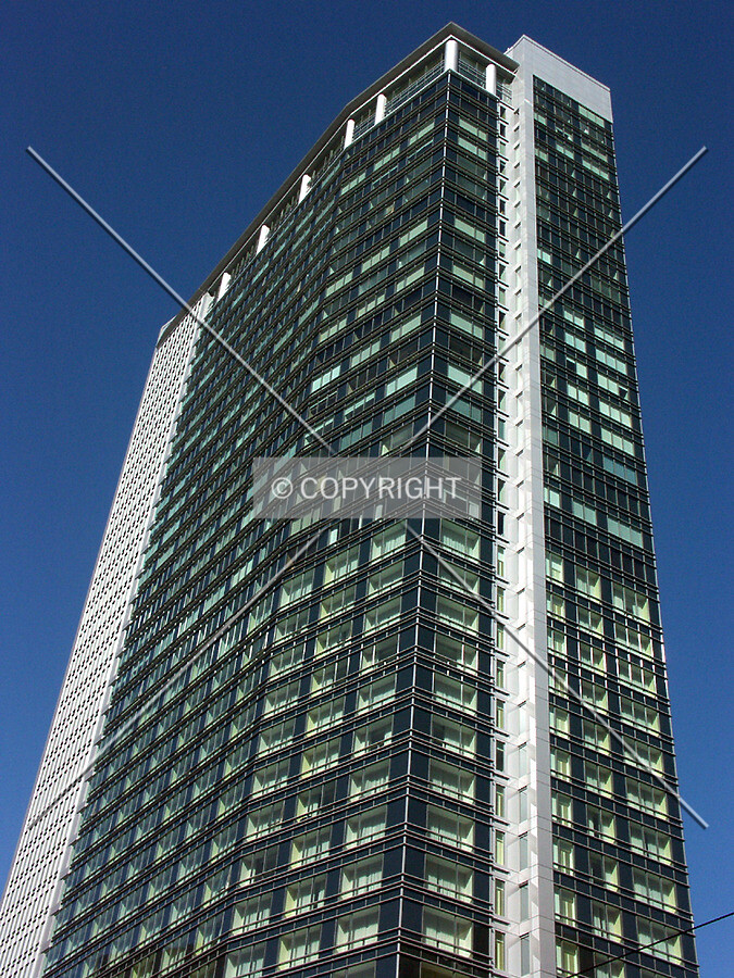 View from the west
