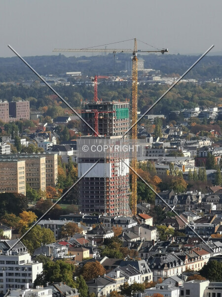 259-578-196