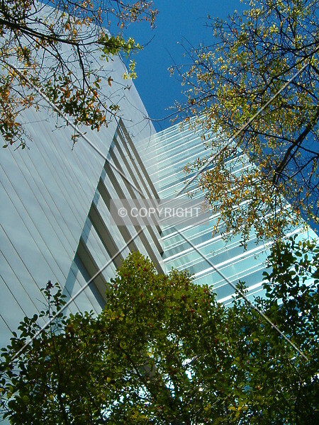Photo 259-596-317