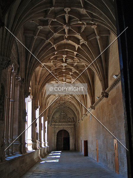 Photo 260-213-722