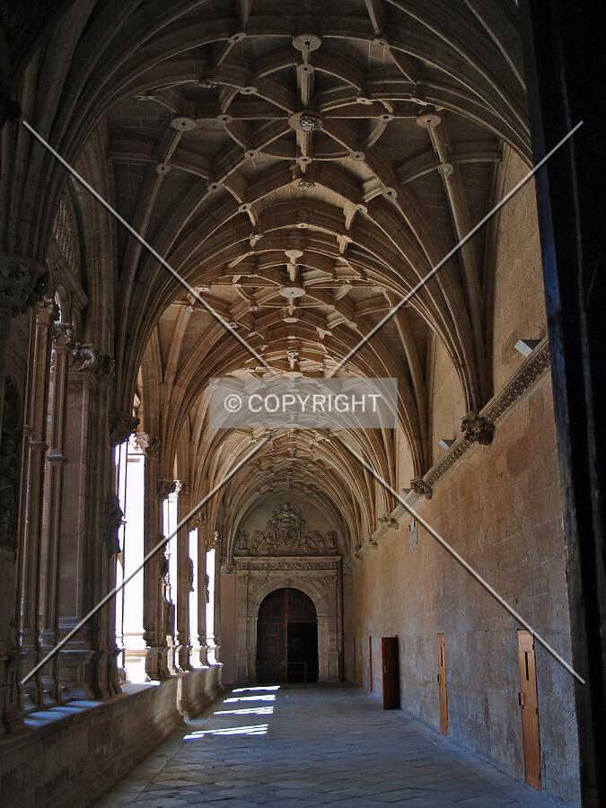 Aile in the cloister