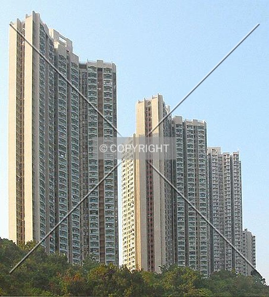 Photo 260-233-039