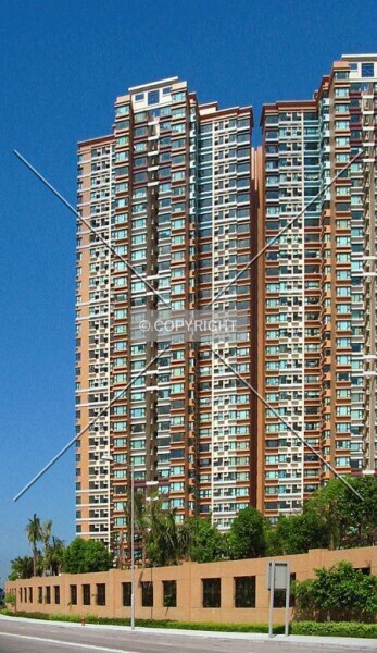 Photo 260-397-497
