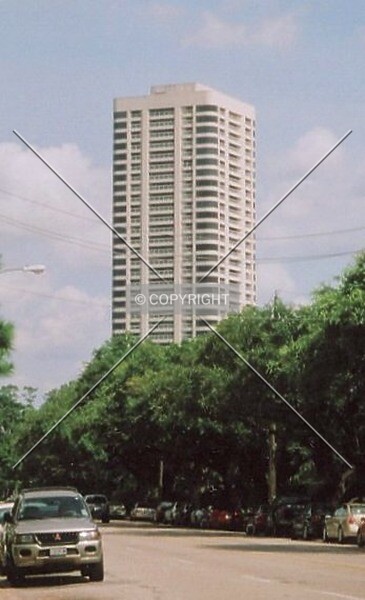 Photo 260-782-946