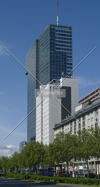 Photo 261-401-445