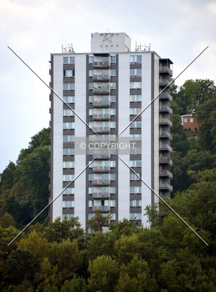 Photo 261-517-561
