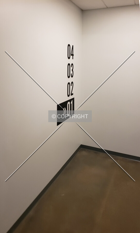 Central staircase; March 13, 2019