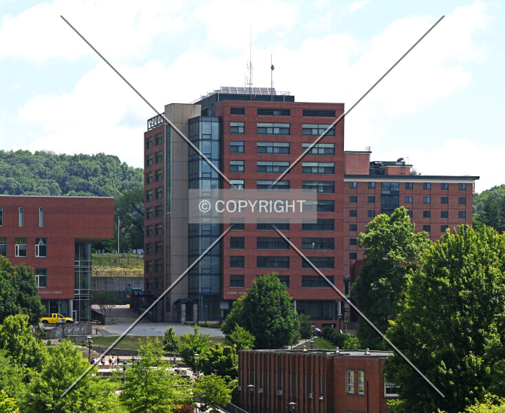 Photo 262-043-433