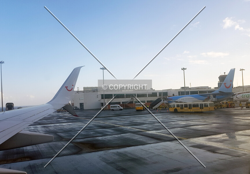 Madeira Airport Terminal 1