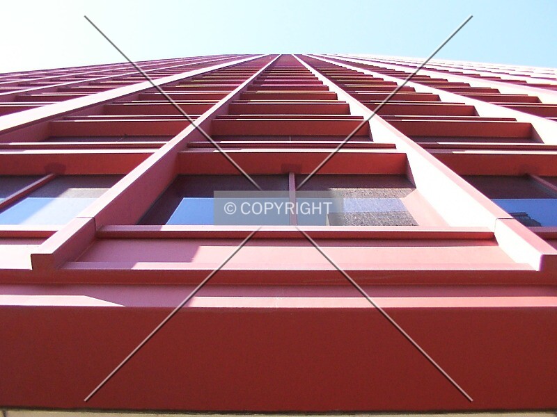 Photo 262-212-247