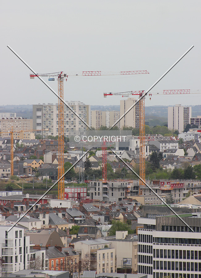 Photo 262-236-325