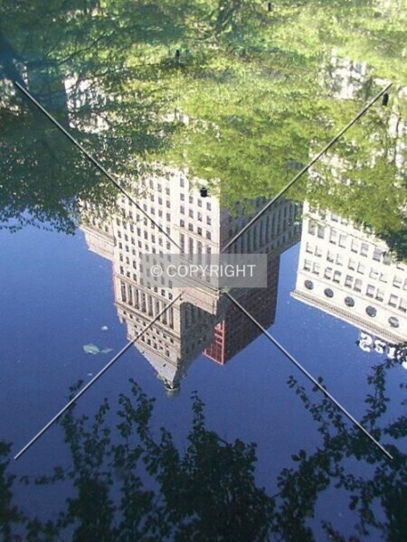 Photo 262-993-724