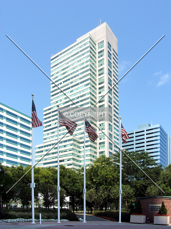 View from the southeast