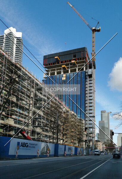 Photo 263-246-053