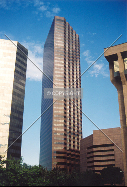 Photo 263-981-265