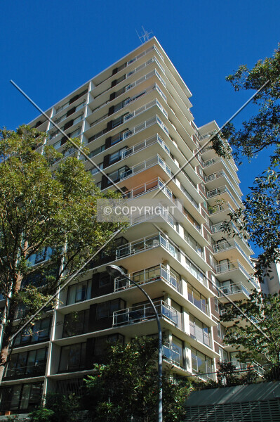 Photo 264-323-481