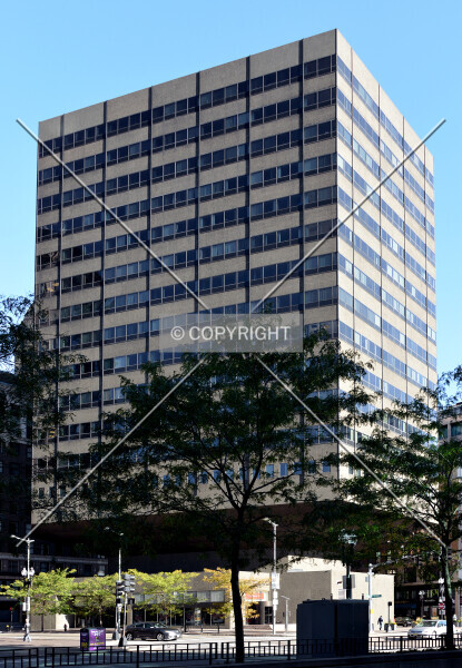 Photo 264-698-423