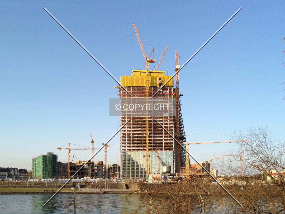 Photo 265-933-742