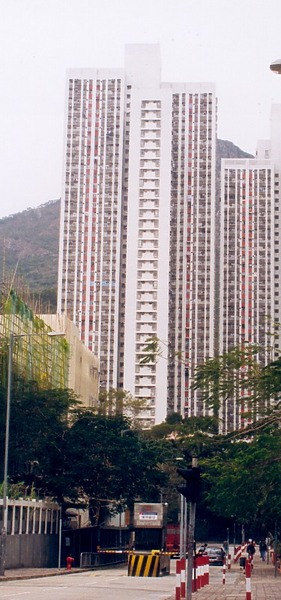 Photo 266-313-541