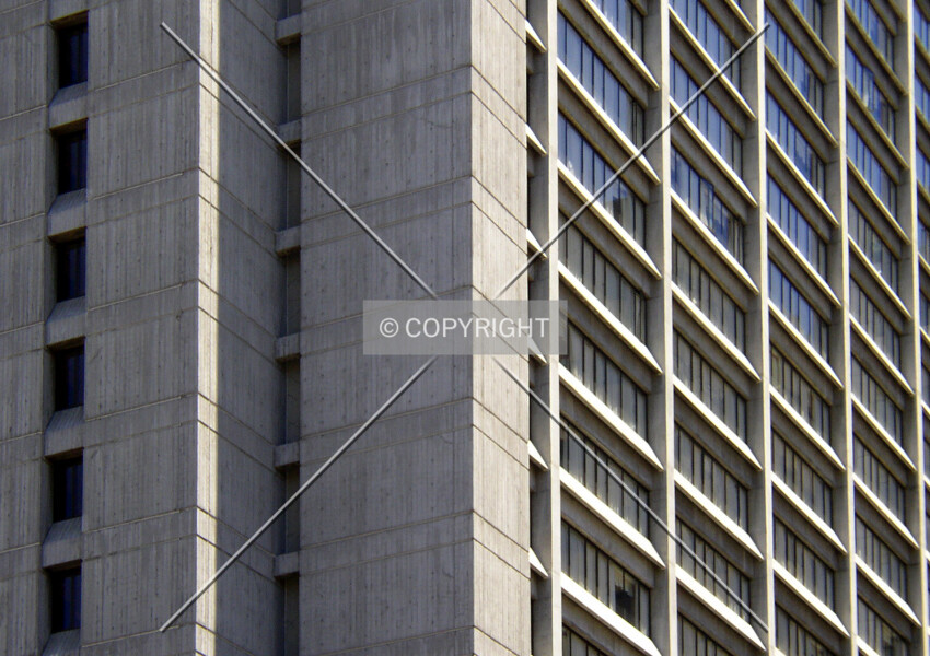 Photo 314-571-269