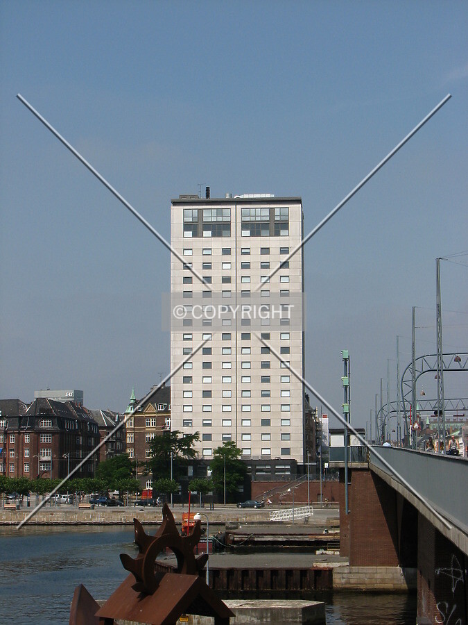 View from the south