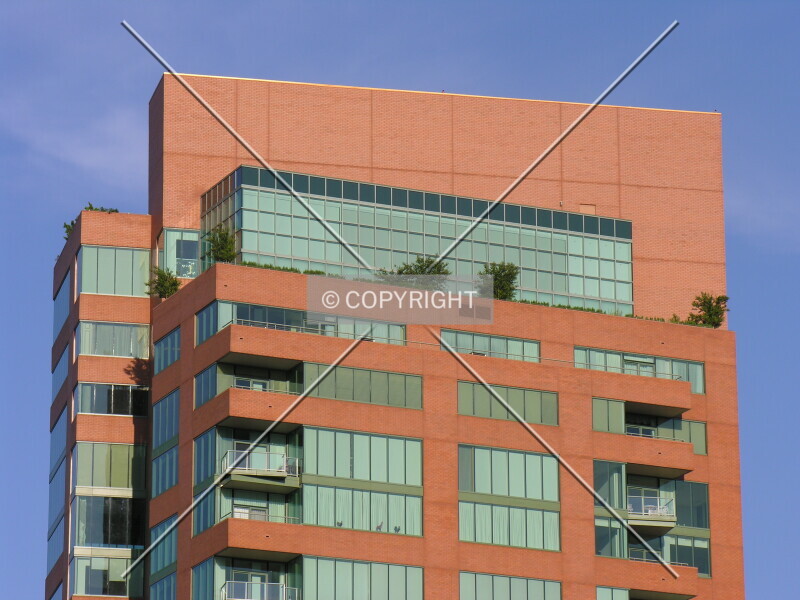 Photo 269-146-614