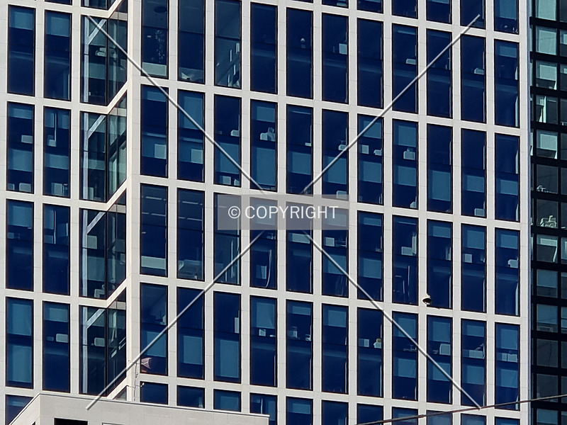 269-710-163