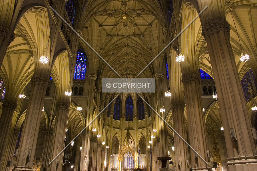 Photo 269-941-837