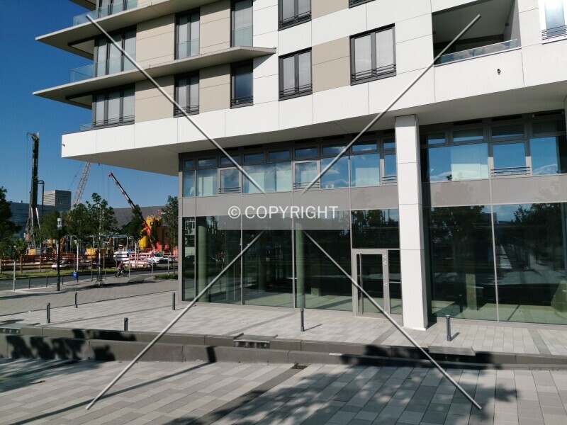 Photo 270-930-036