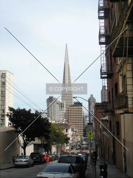 Photo 272-679-576