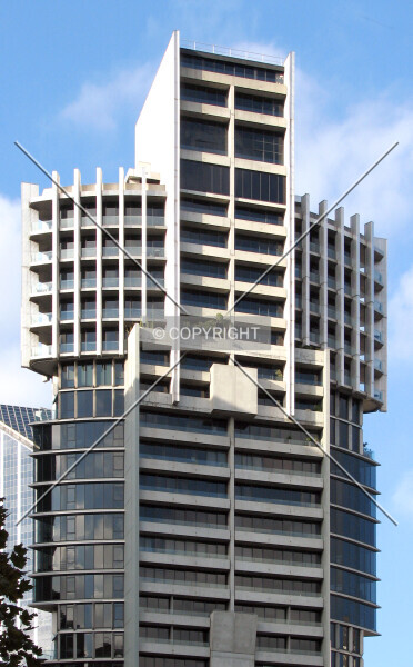 Photo 272-783-383