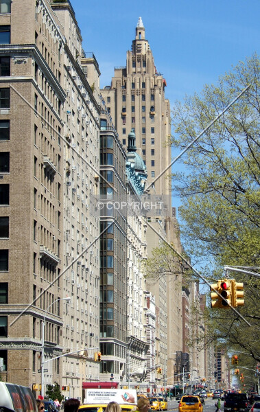 Photo 272-873-004